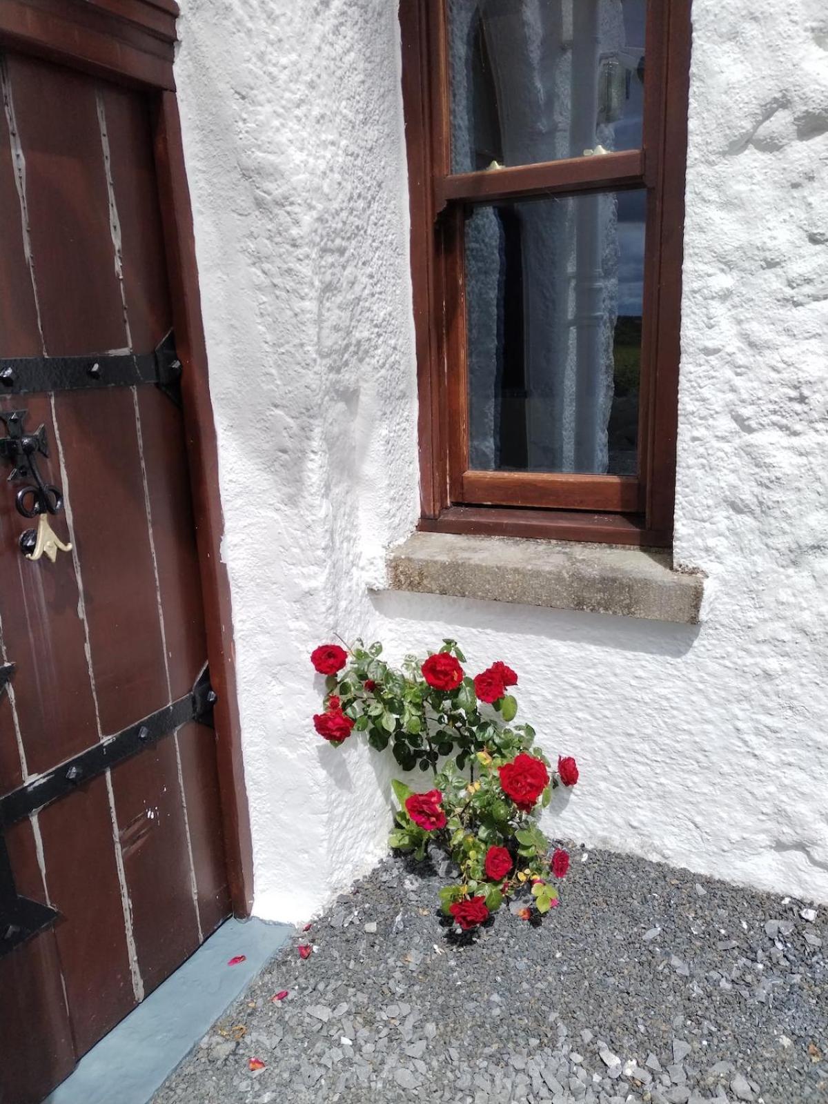 Vila The Burren Art Gallery Built In 1798 Tubber Exteriér fotografie